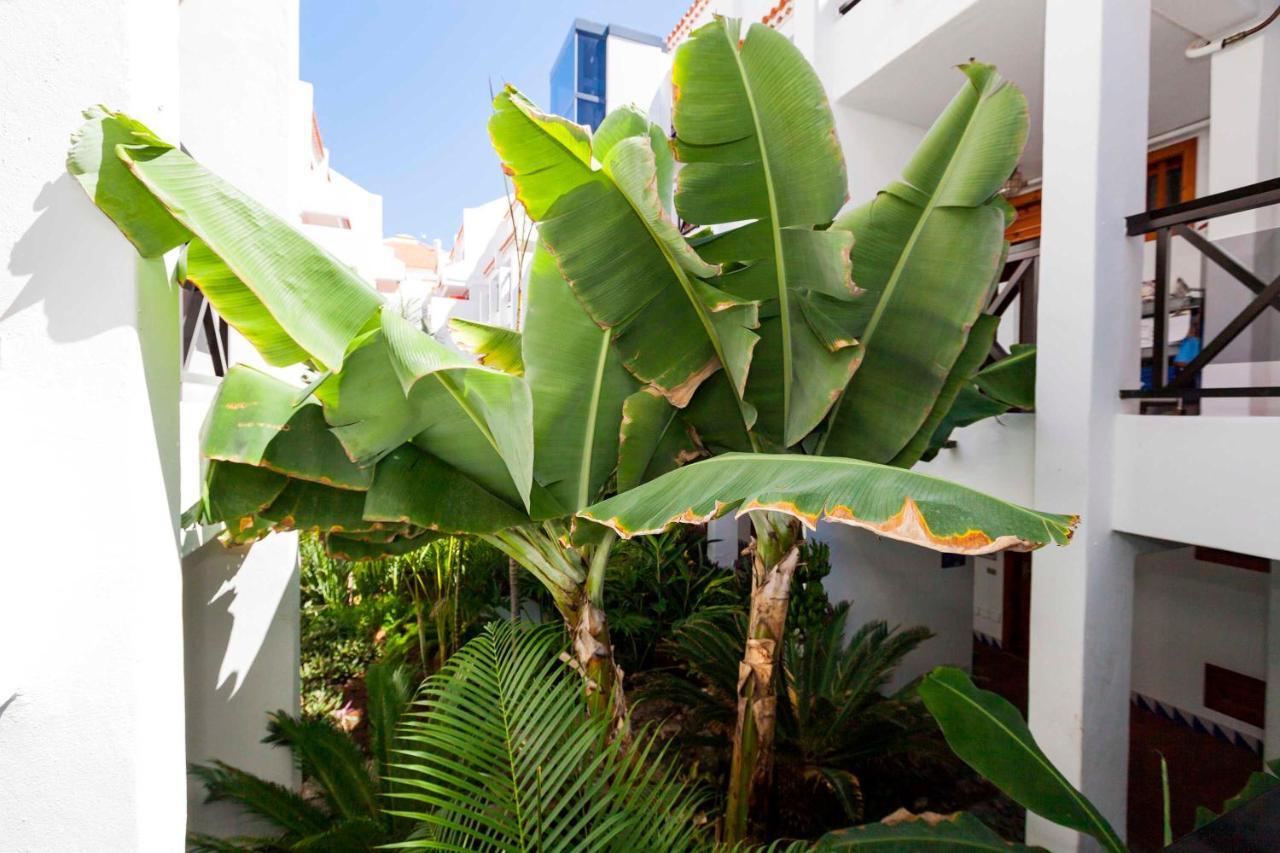 Estudio 1 Sara En Playa De Las America - Sara Vacation Costa Adeje  ภายนอก รูปภาพ